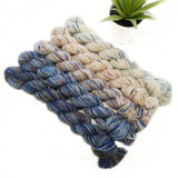 Mini Skein Set of 5 - Boardwalk